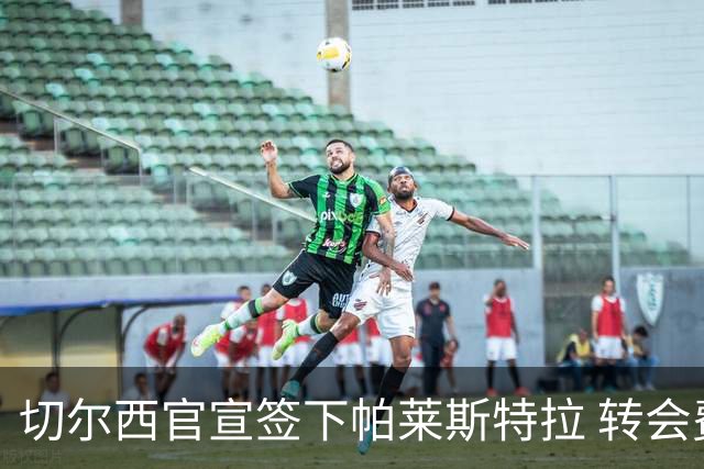 切尔西官宣签下帕莱斯特拉 转会费超5500万欧签约7年